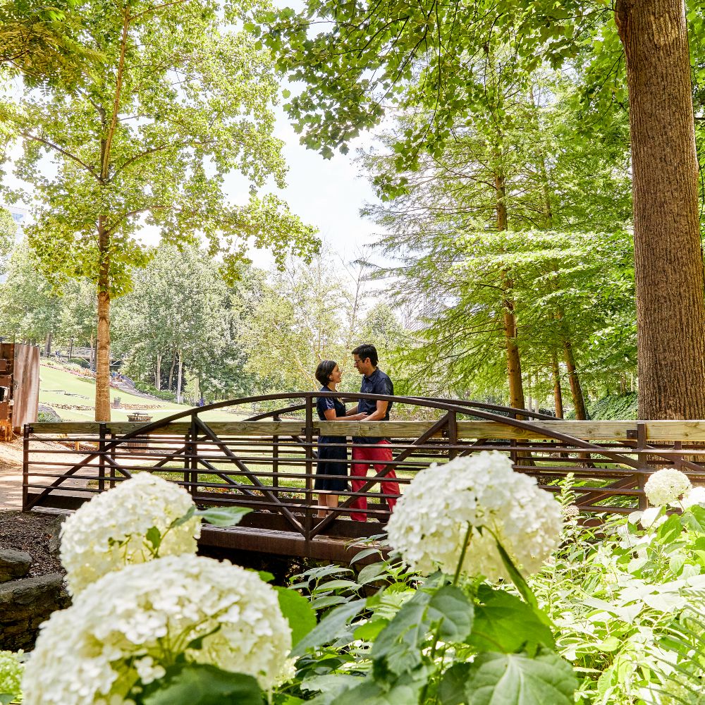 falls-river-park-greenville