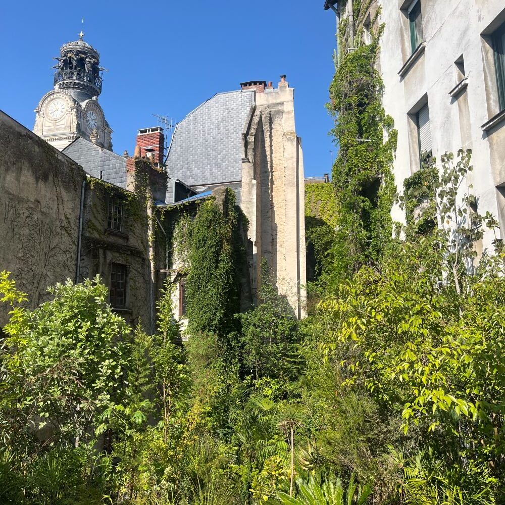 jungle-intérieure-nantes-city-break