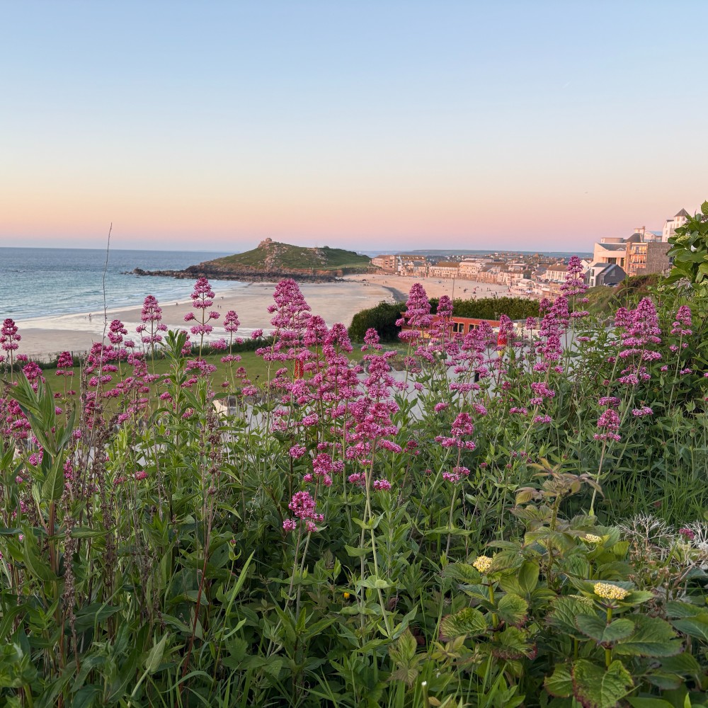 Kids are never too young to take these incredible Cornwall family walks