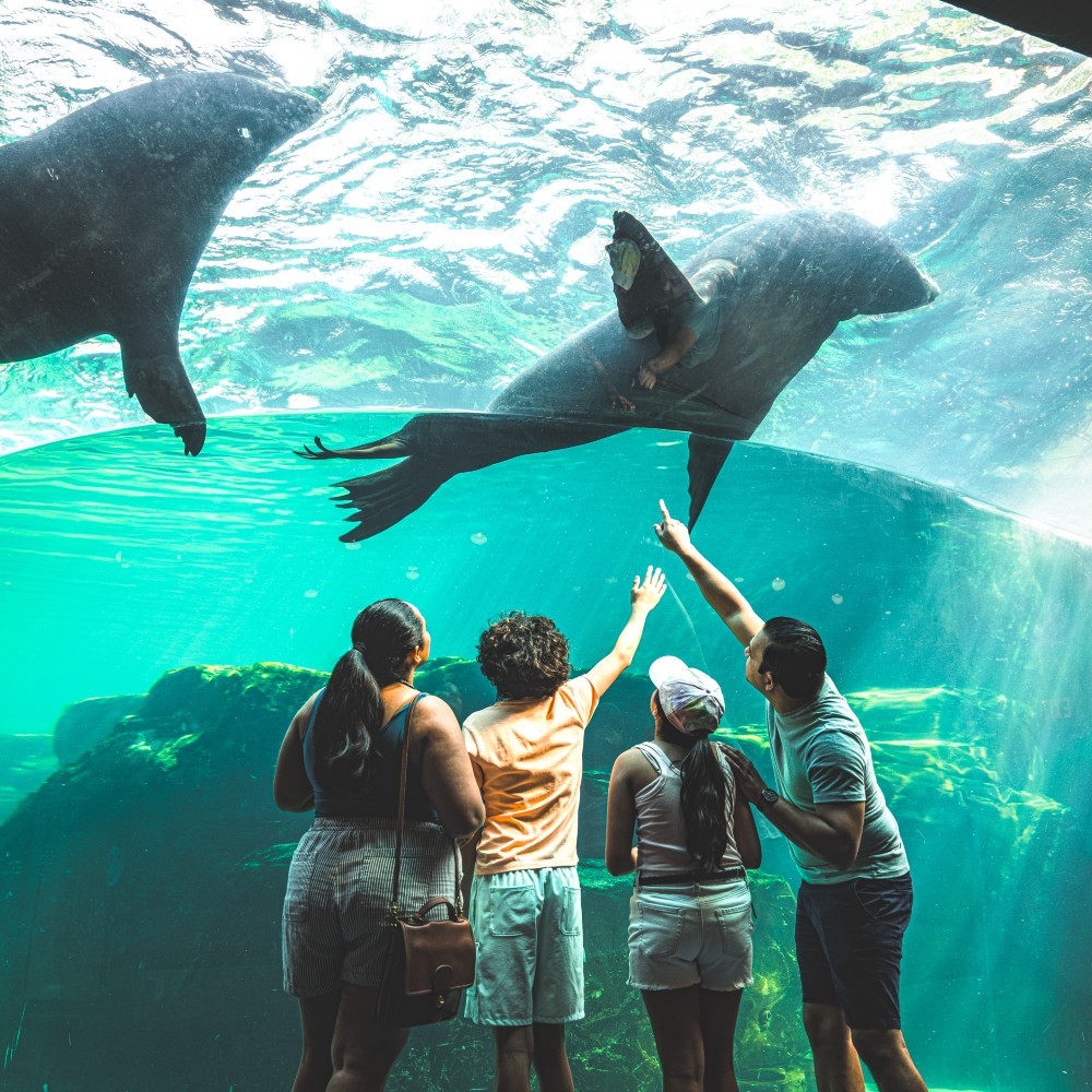 riverbank-zoo-and-gardens-columbia-south-carolina