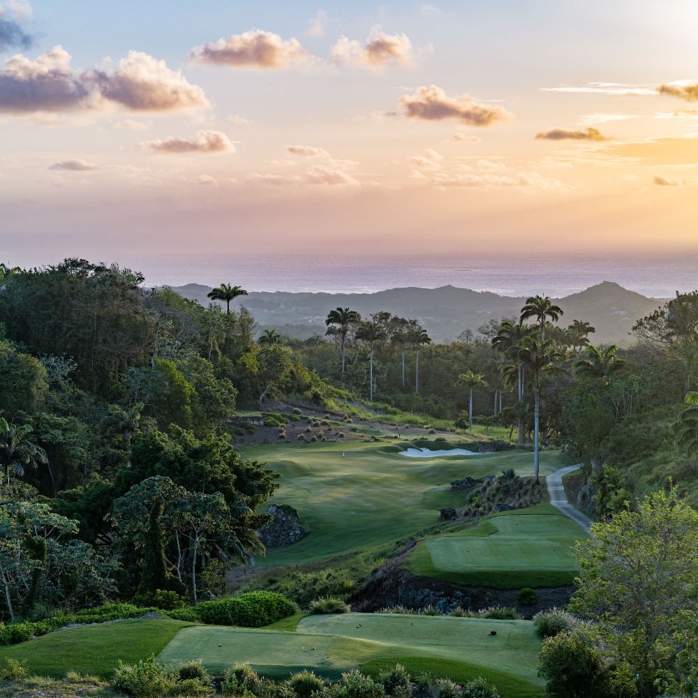 family-holiday-barbados-villas-apes-hill