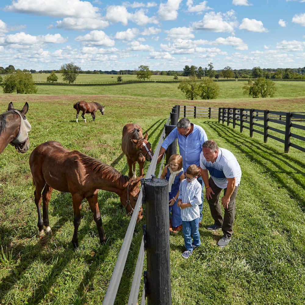 horses-jonabell-farm-kentucky