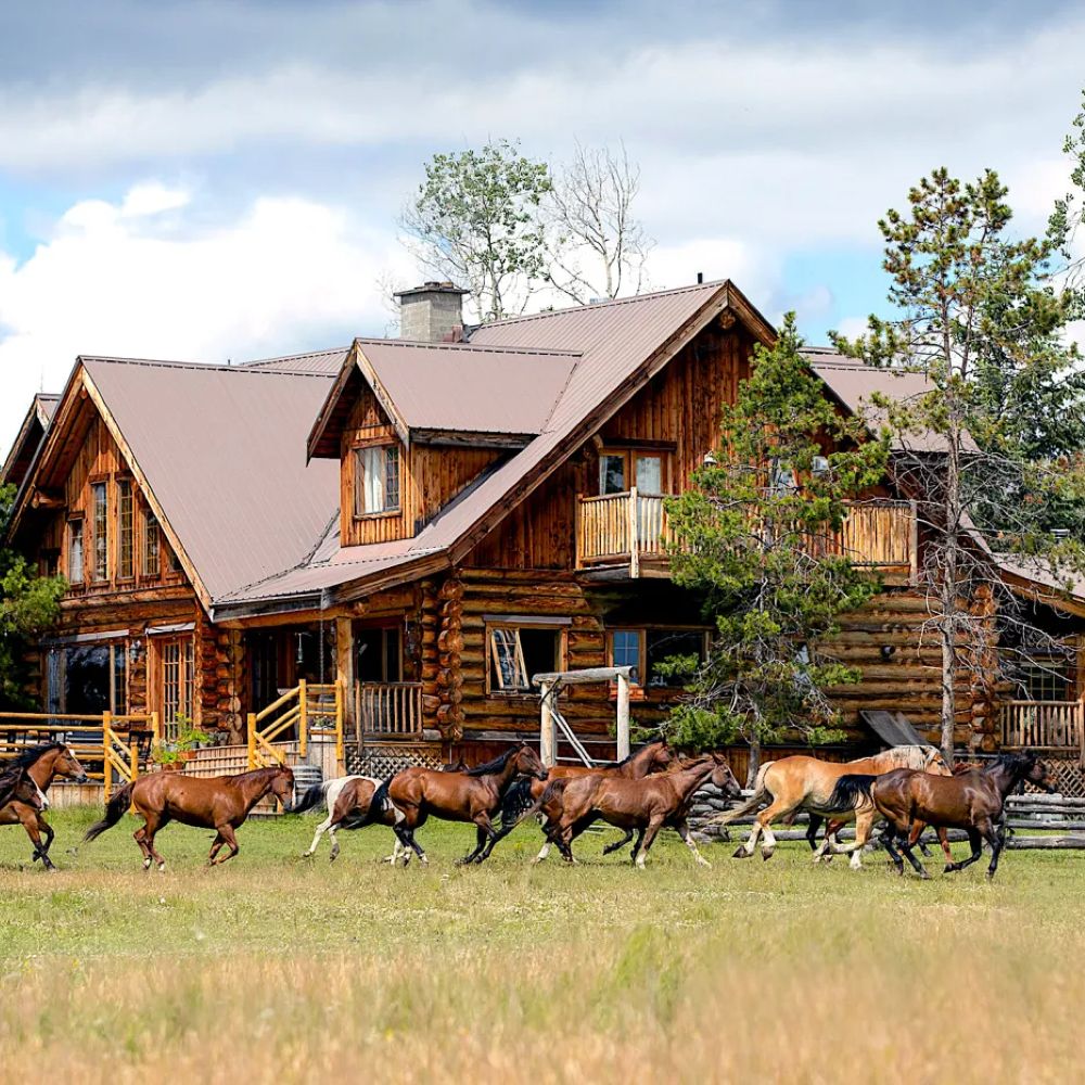 horses-galloping-by-lodge-at-siwash-lake