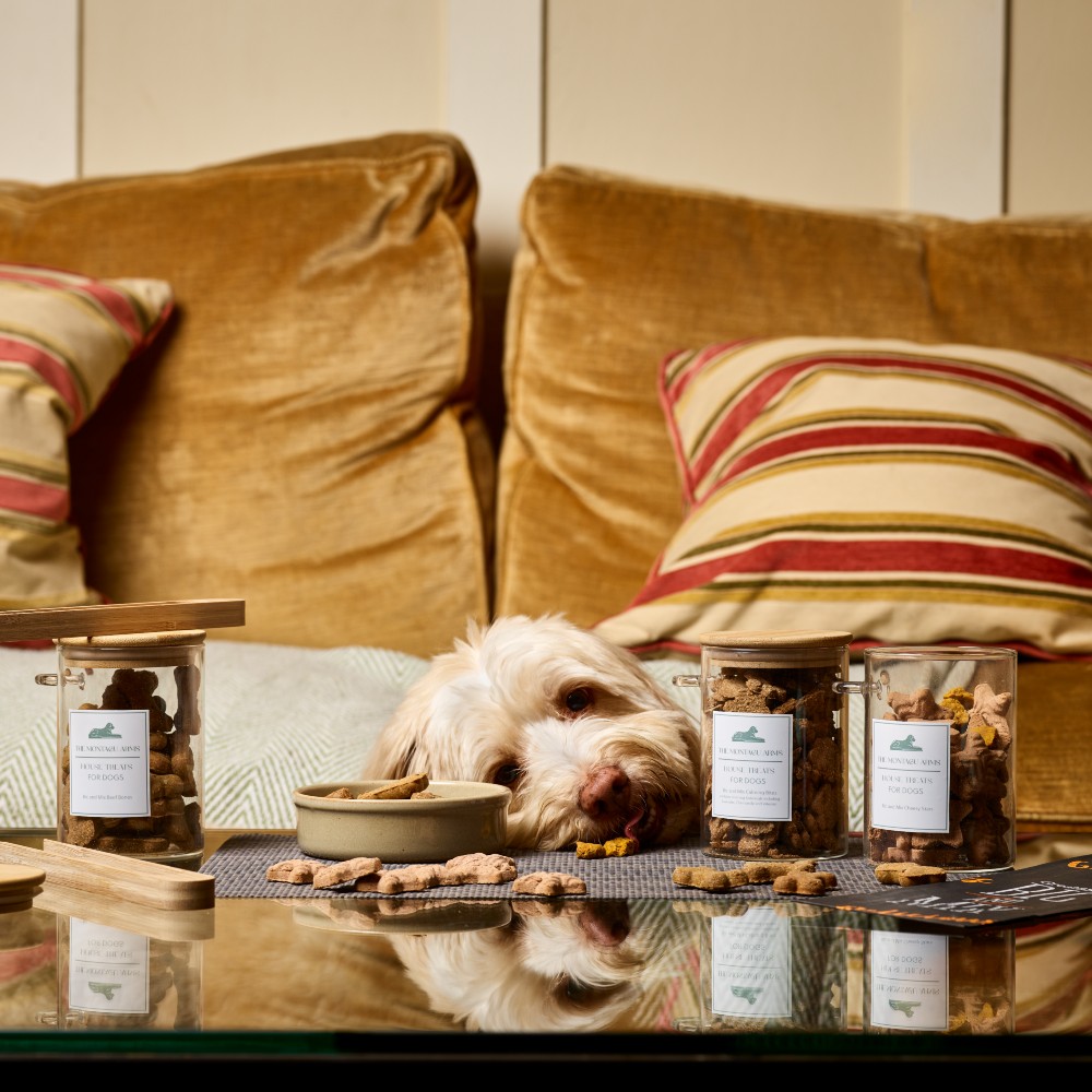 pampered-dog-montagu-arms