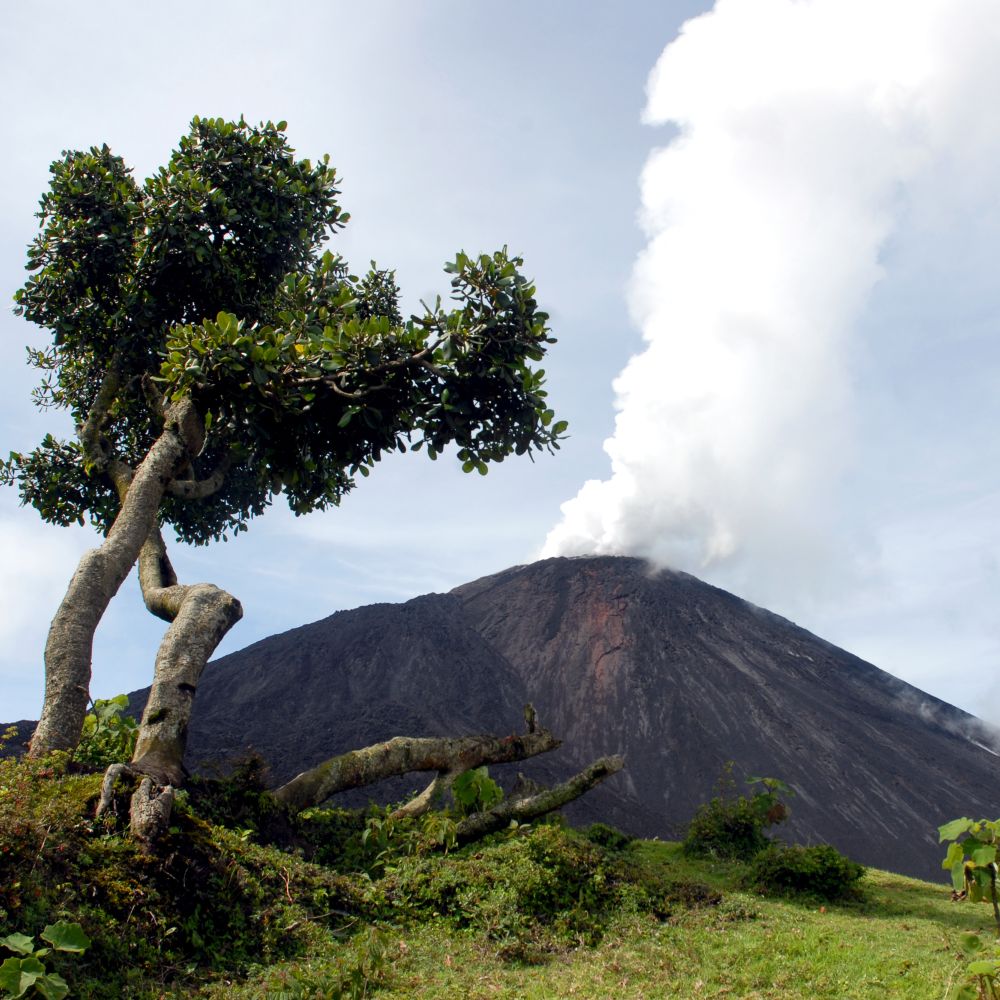picaya-volcano-family-holiday-in-guatemala