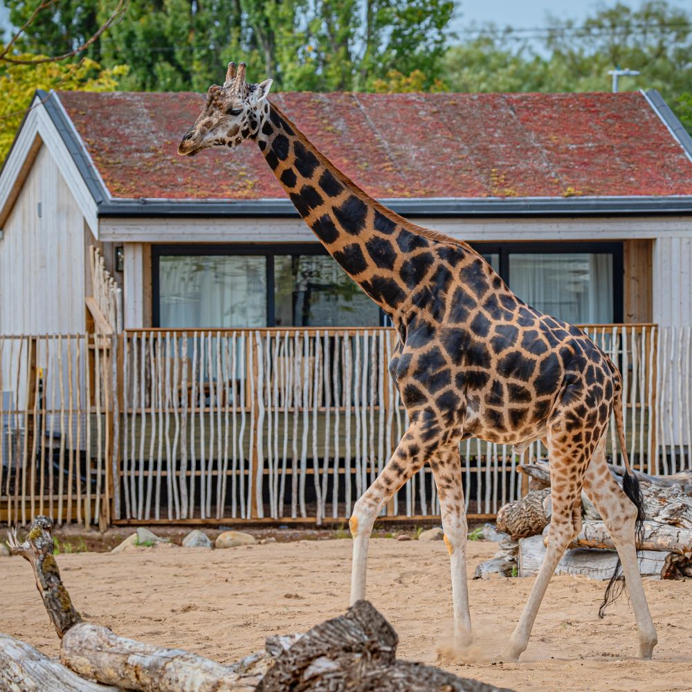 Our pick of UK family breaks worth running away for this winter