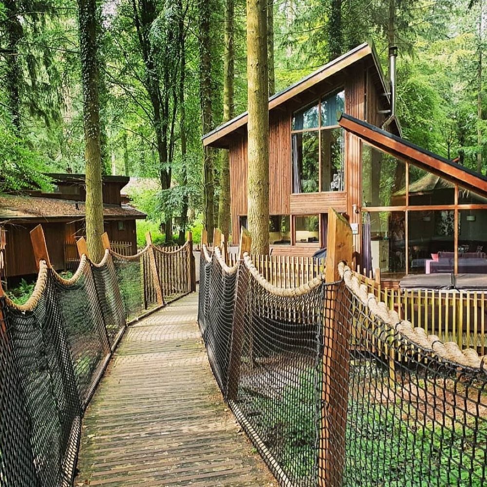 golden-oak-treehouse
