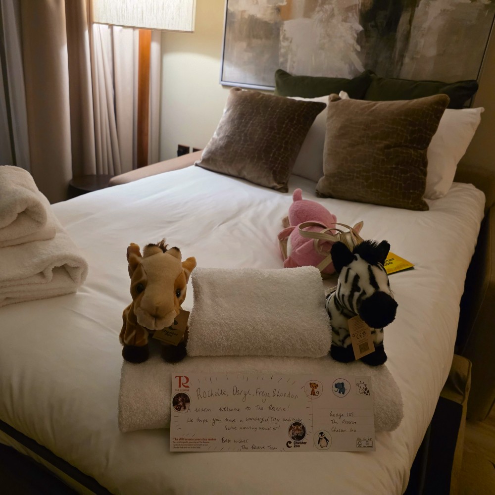 bed-at-the-reserve