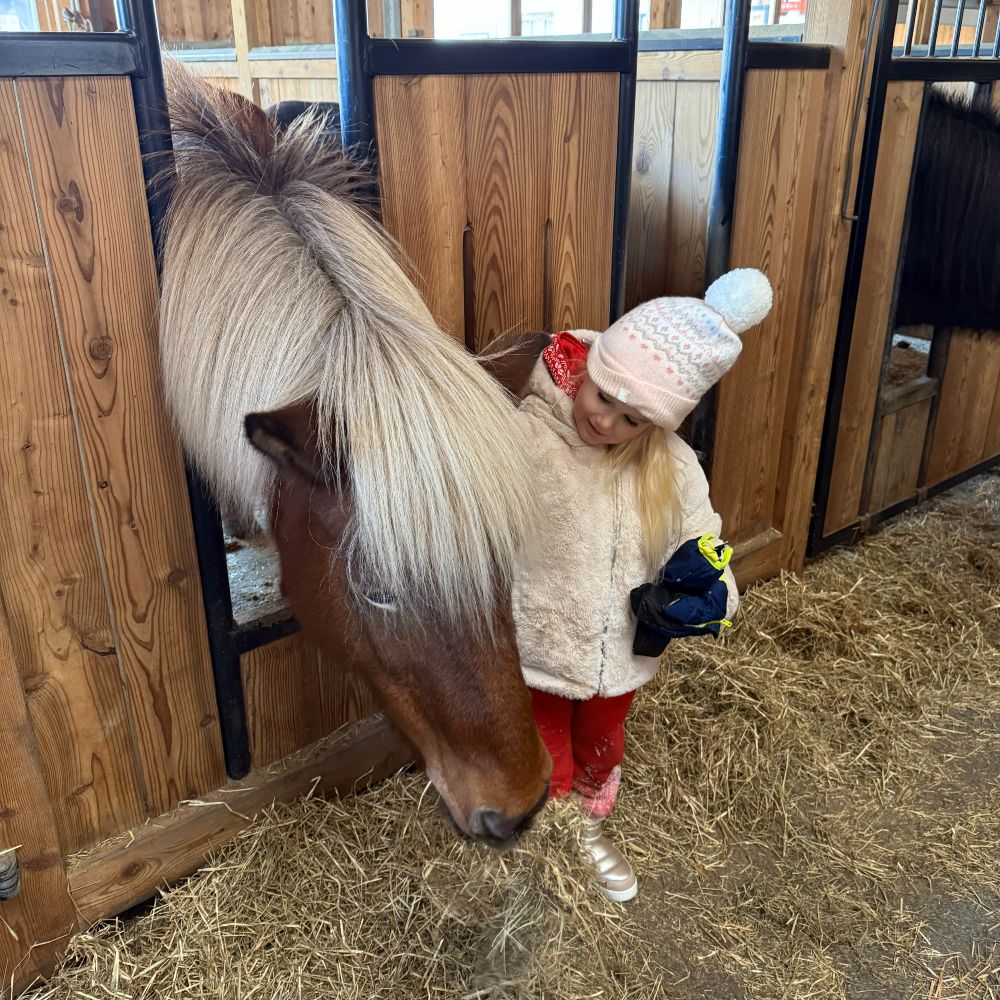 pony-and-child-moar-gut-family-resort