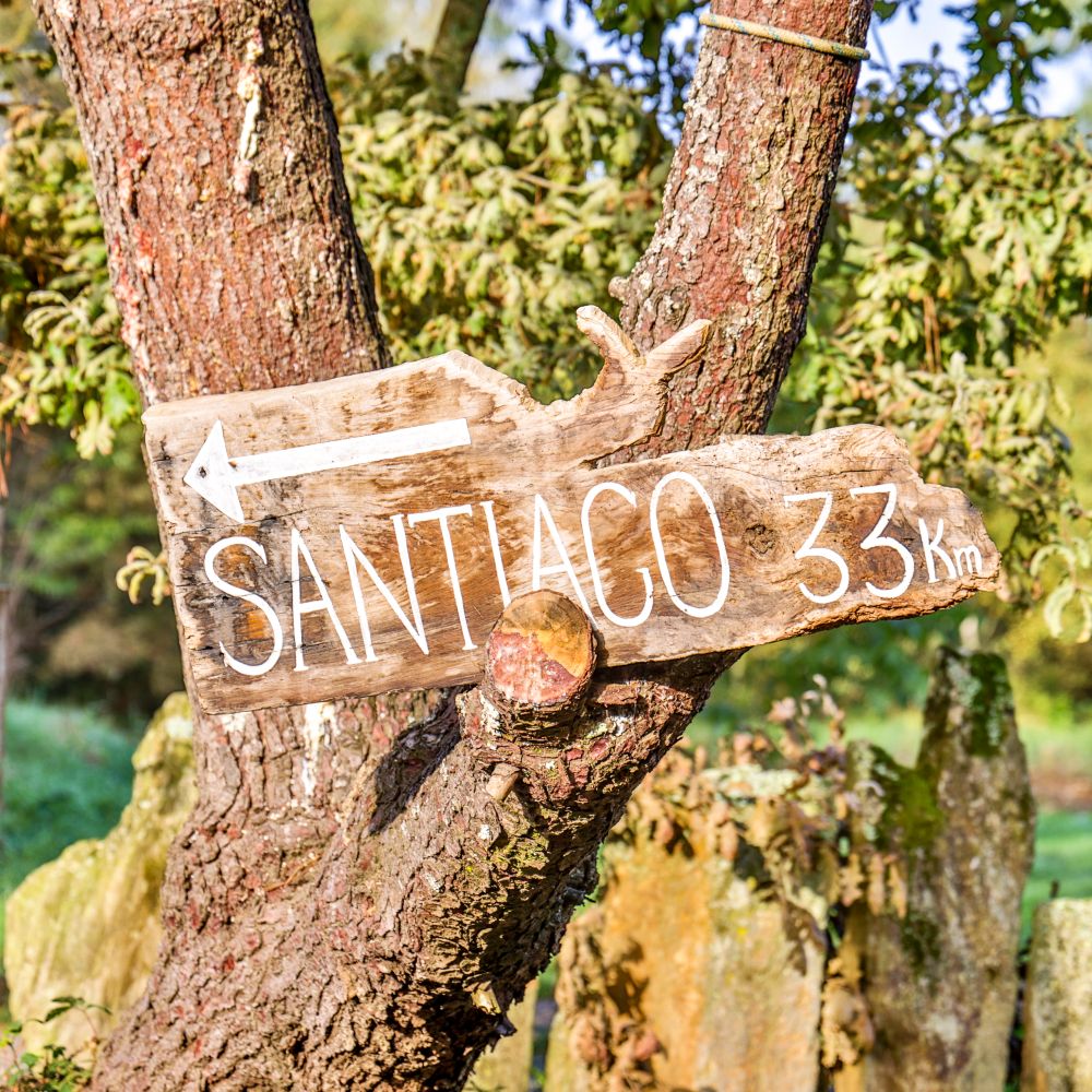 camino-de-santiago-signpost