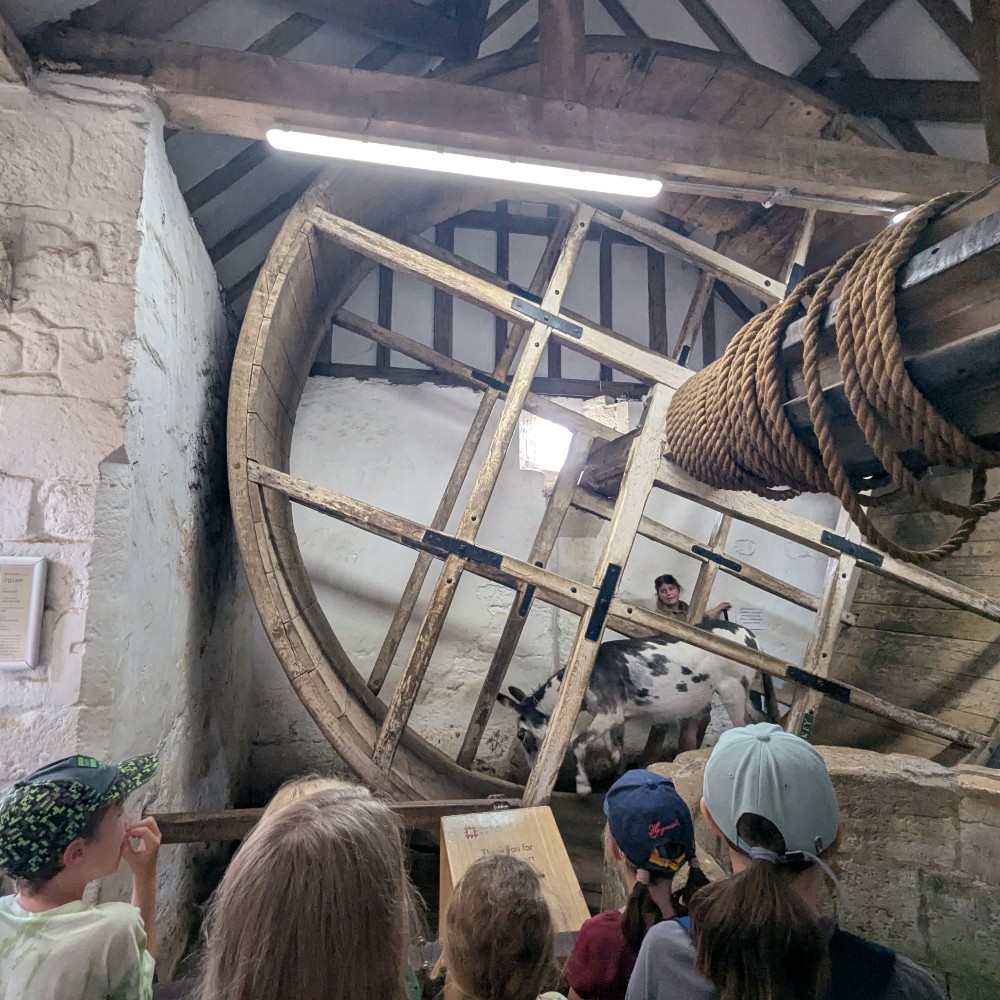 carisbrooke-castle-donkey-powered-mill