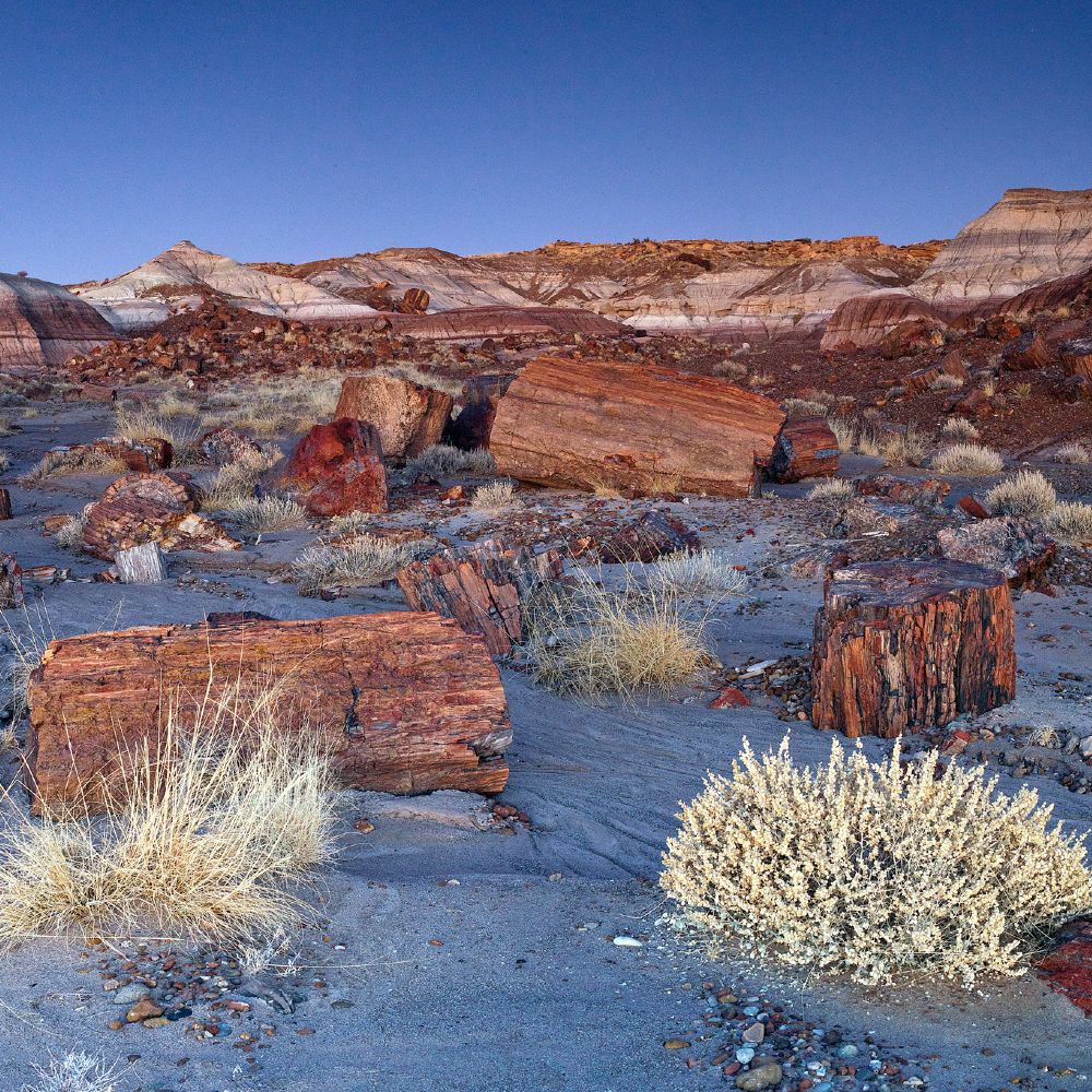 petrified-forest-route-66-road-trip-arizona-national-park-service