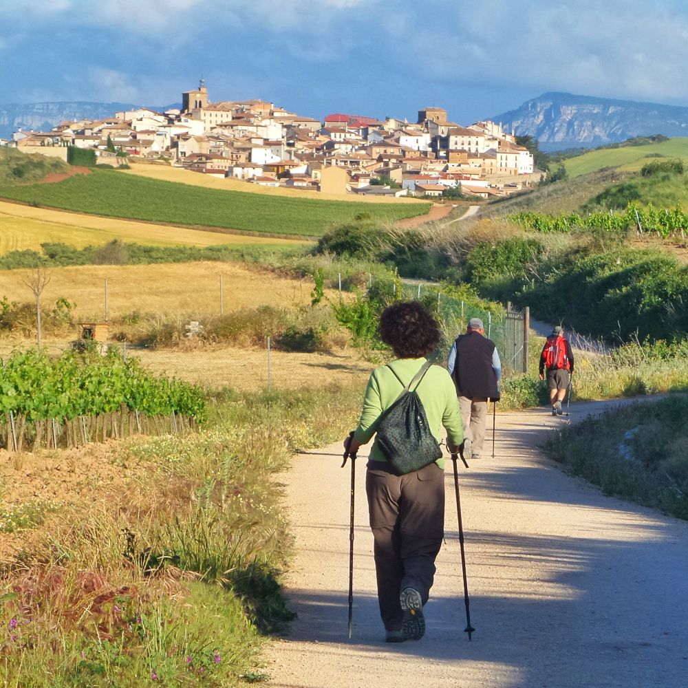 pilgrims-walking-camino-de-santiago