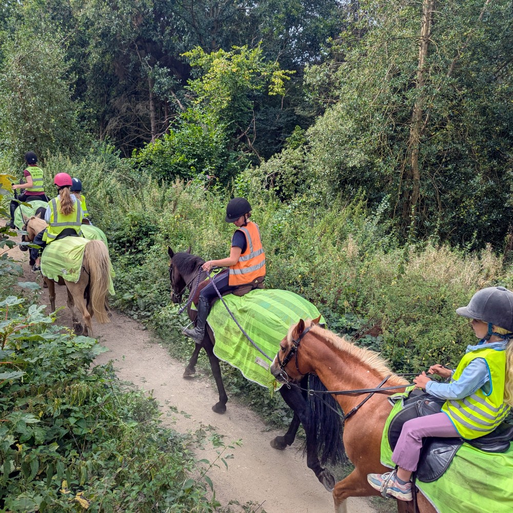 pony-trekking-isle-of-wight-break