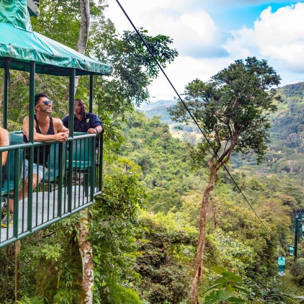 aerial-tram-rainforest