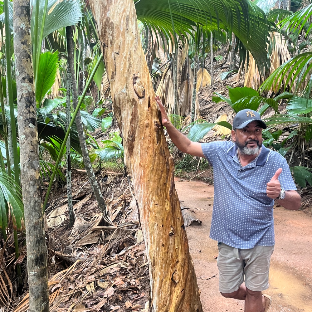 vallee-de-mai-family-bucket-list-holiday