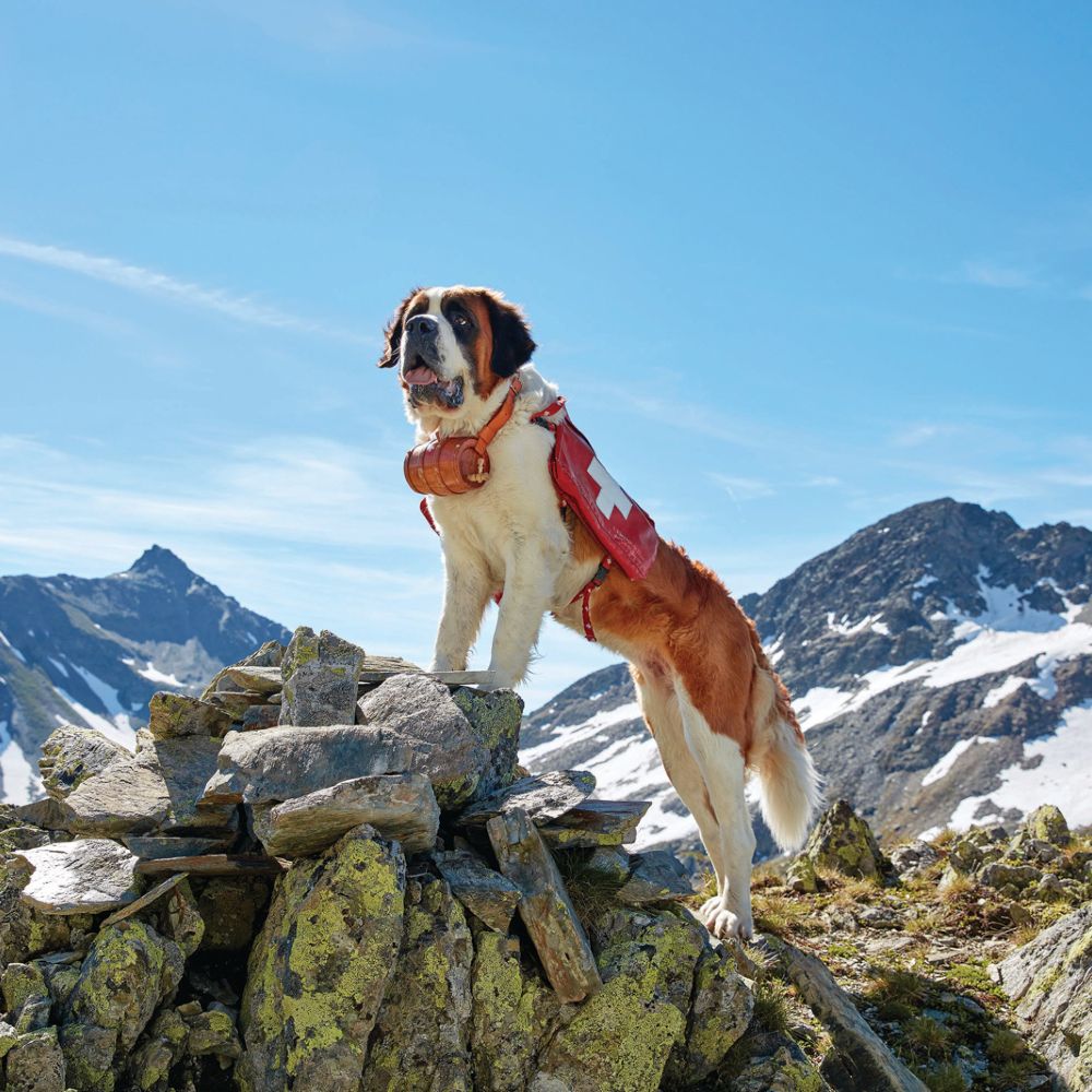 barryland-summer-in-verbier