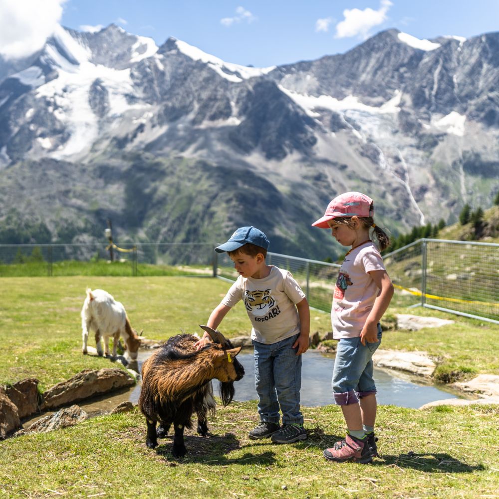 children-and-goats-kreuzboden-petting-zoo