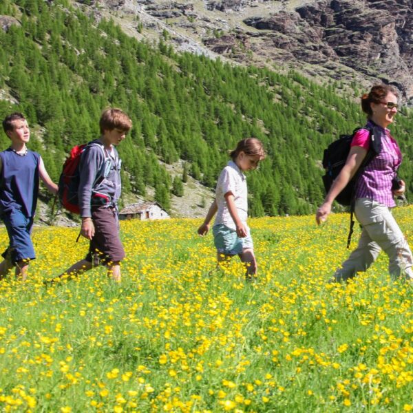 hiking-family-holiday-in-aosta-valley-summer