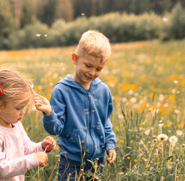 Two little children picking up wildflowers in the field.