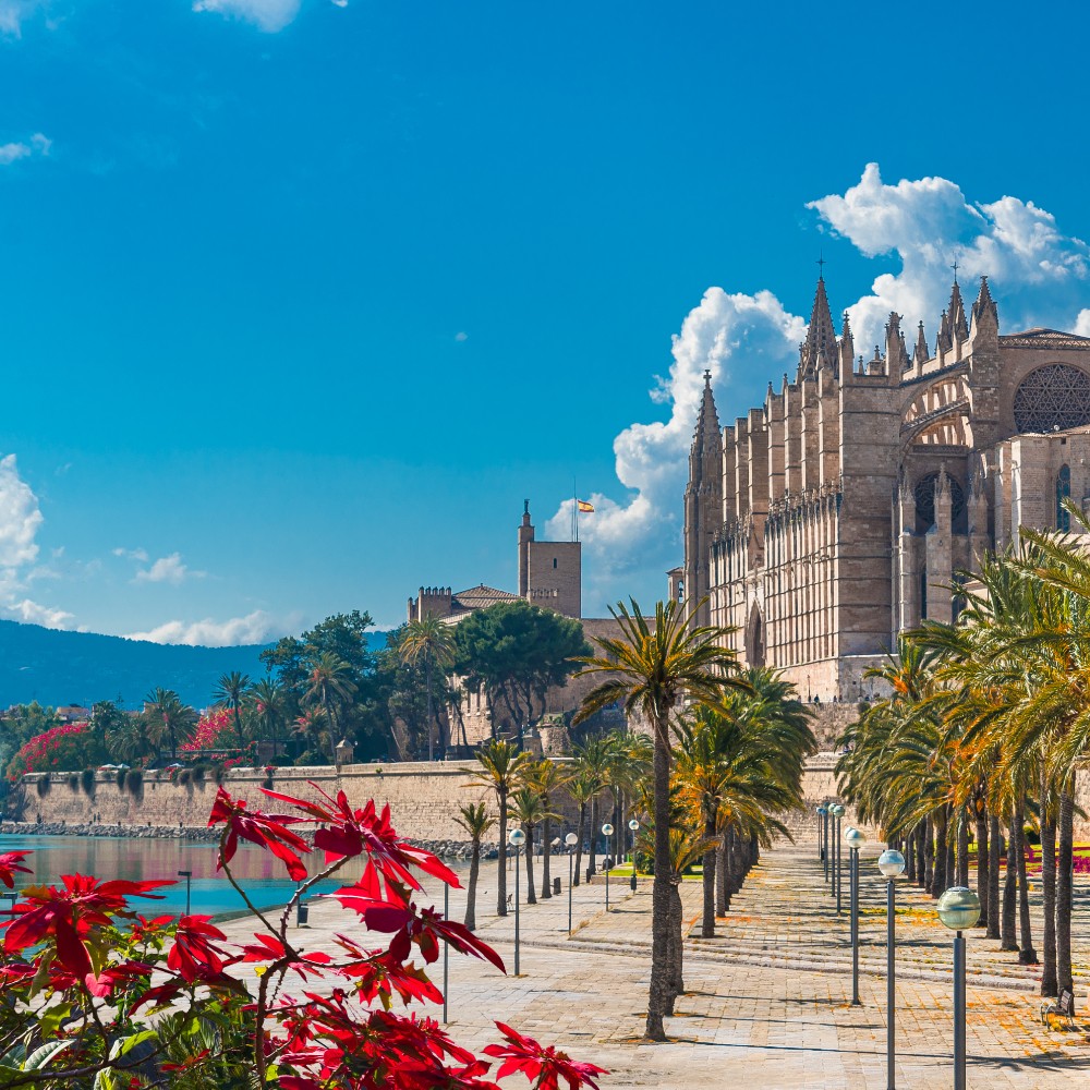 palma-de-mallorca