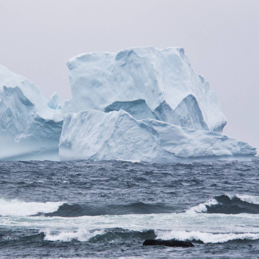 icebergs newfoundland and labrador