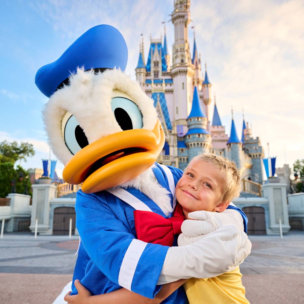 disney donald duck