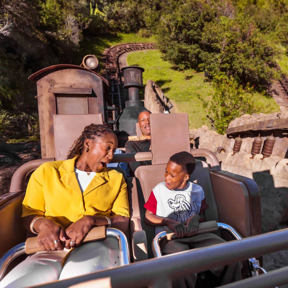 disney ride