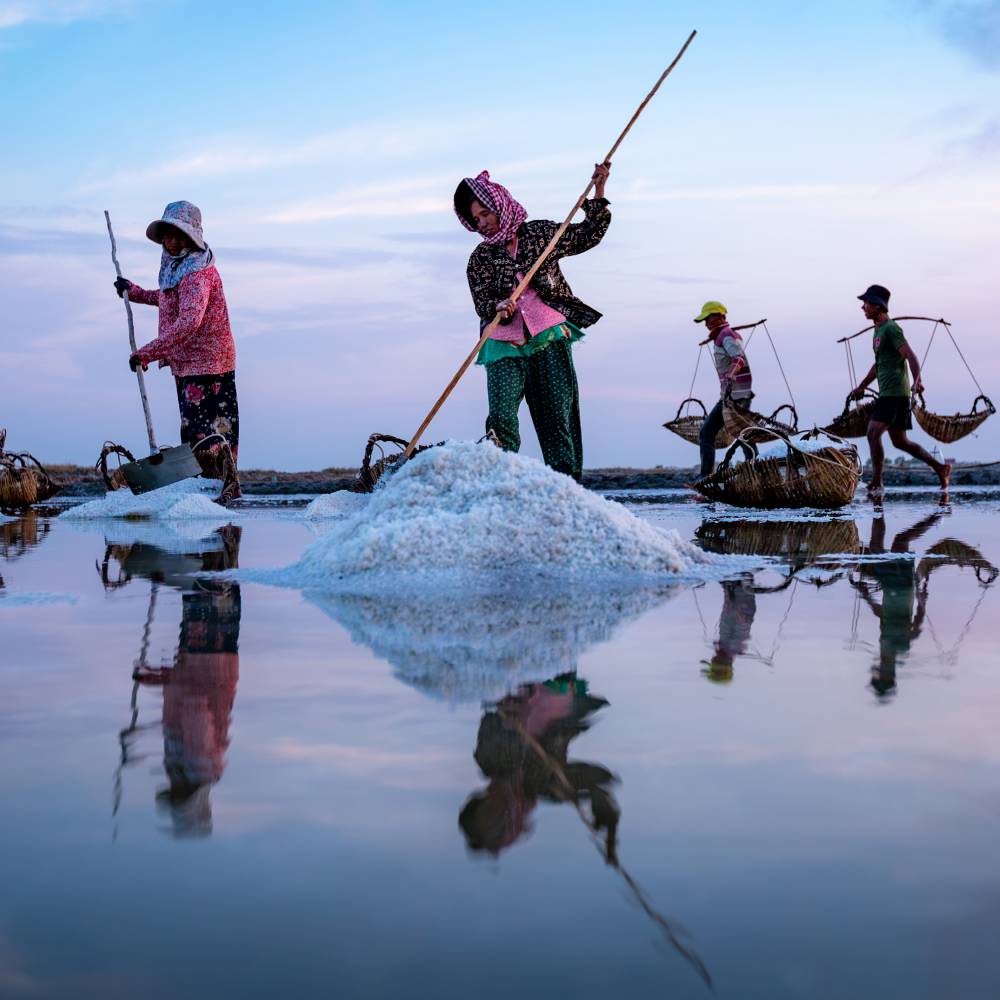 salt fields cambodia workers