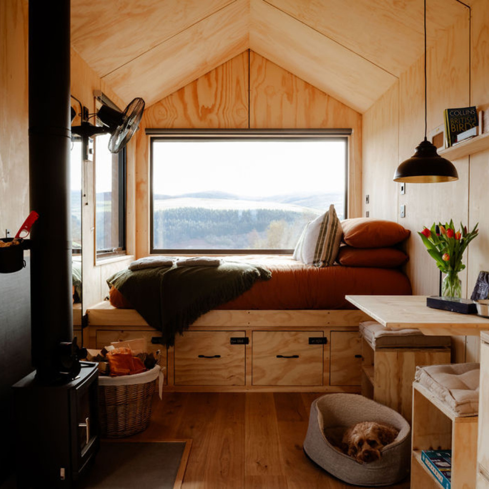 Shacks cabin stay