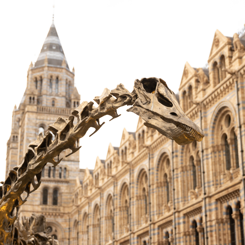 20 UK attractions to take kids to before they grow up
