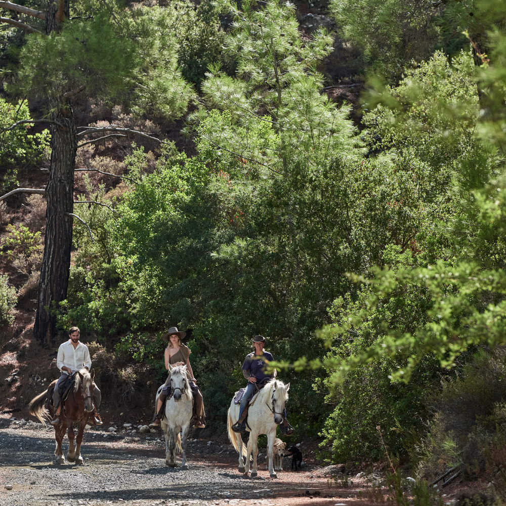 rhodes horse riding h hotels