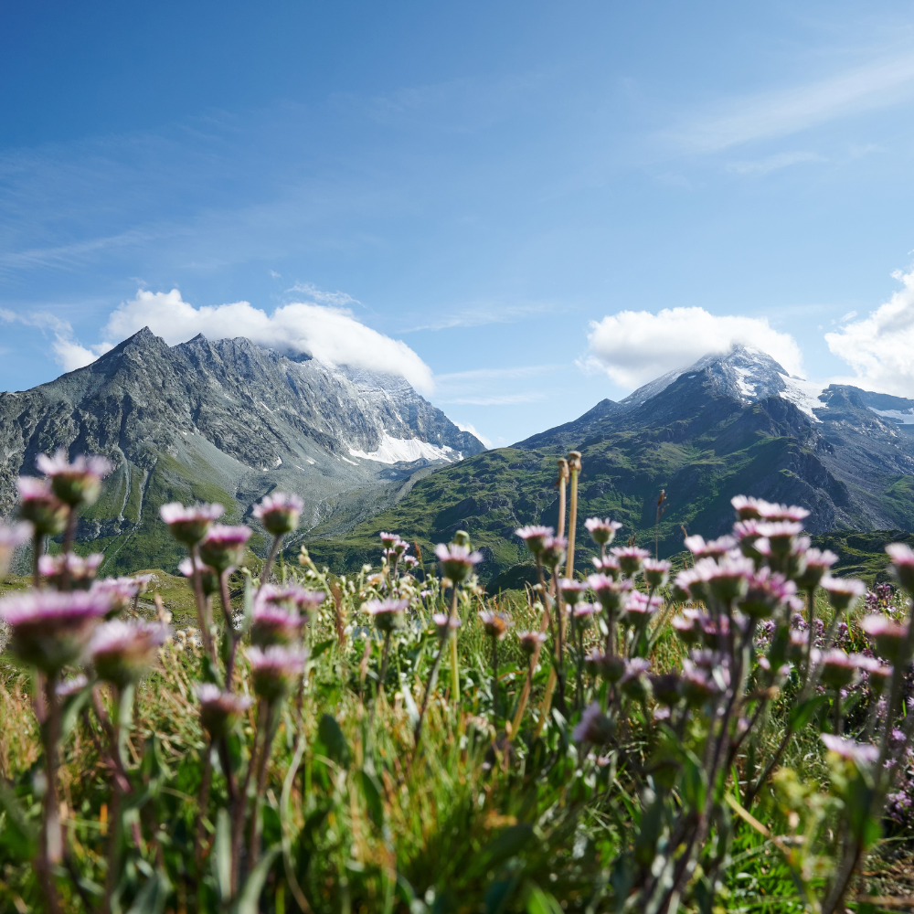 From hut to hut: Hiking the Swiss Alps with my teenage daughter