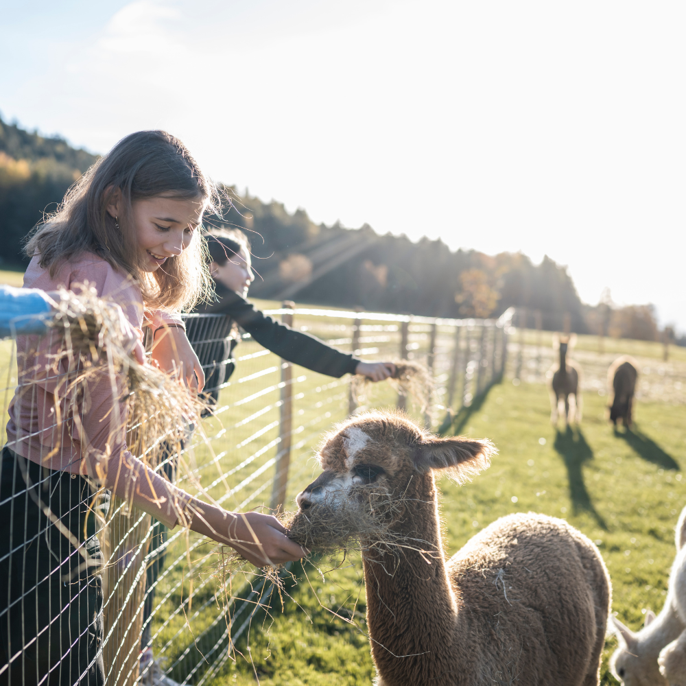 The ultimate family resort in Italy where kids run wild and parents actually relax