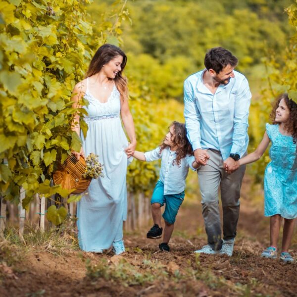 family-friendly-wineries-california