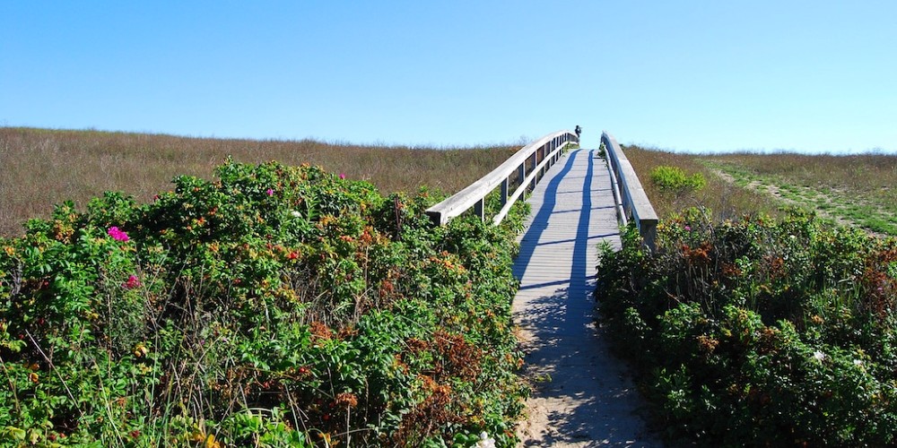 walkway-at-ocean-marshes-sandwich-cape-cod-family-vacations-boardwalk-to-beach-family-traveller-2022
