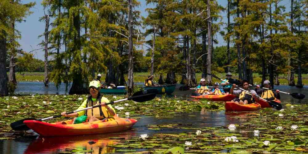 teenagers-kayaking-through-lotus-flowers-on-cane-creek-on-an-arkansas-family-vacation