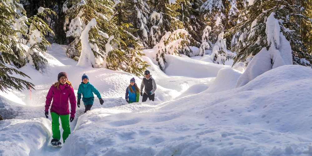 family-snowshoeing-through-winter-forest-whistler-blackcomb-ski-resort-canada