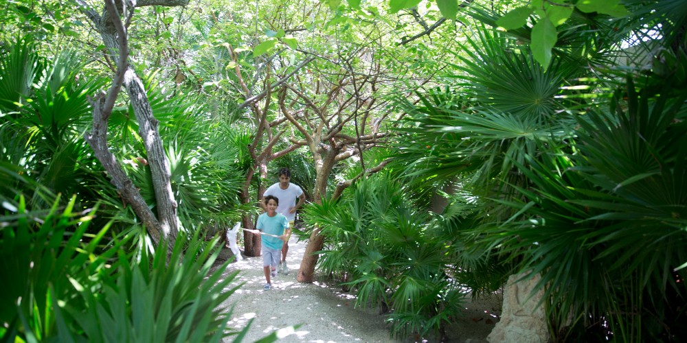 father-and-son-butterfly-catching-in-gardens-of-nizuc-resort-and-spa-cancun-yucatan-peninsula