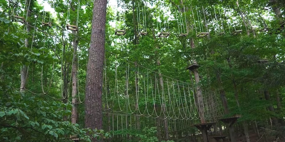 rope-course-falls-creek-falls-state-park-tennessee-vacation