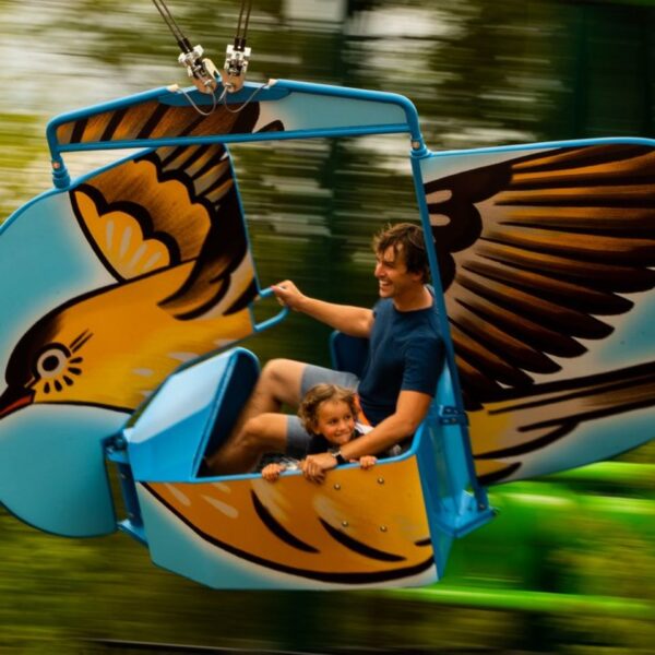 family-bird-ride-dollywood-tennessee