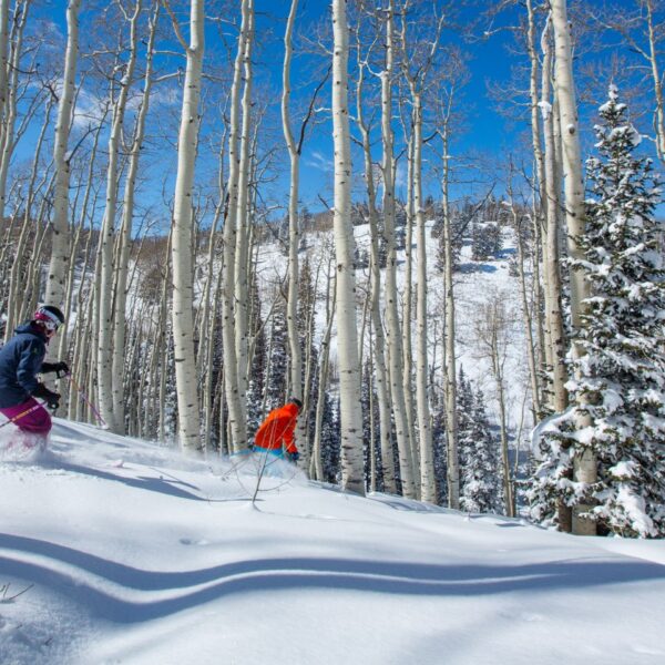 glade-skiing-deer-valley-utah