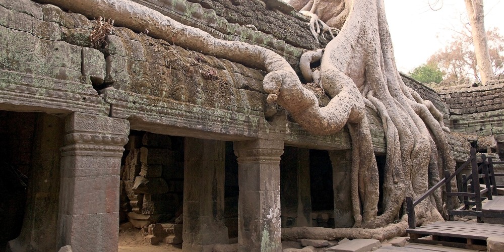 ta-prohm-temple-angkhor-cambodia-family-learning-experience