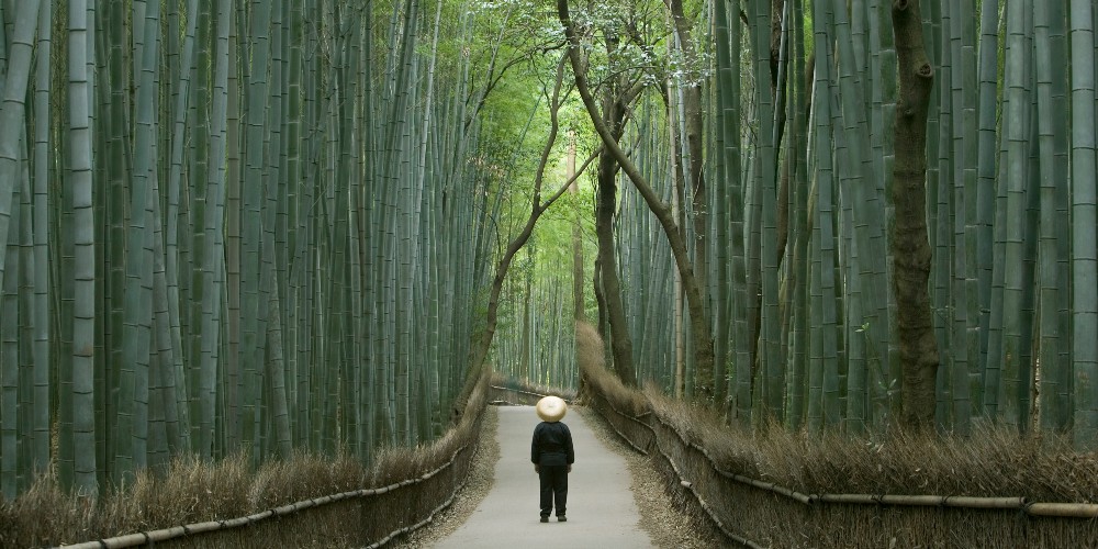 figure-on-path-giant-bamboo-forest-kyoto