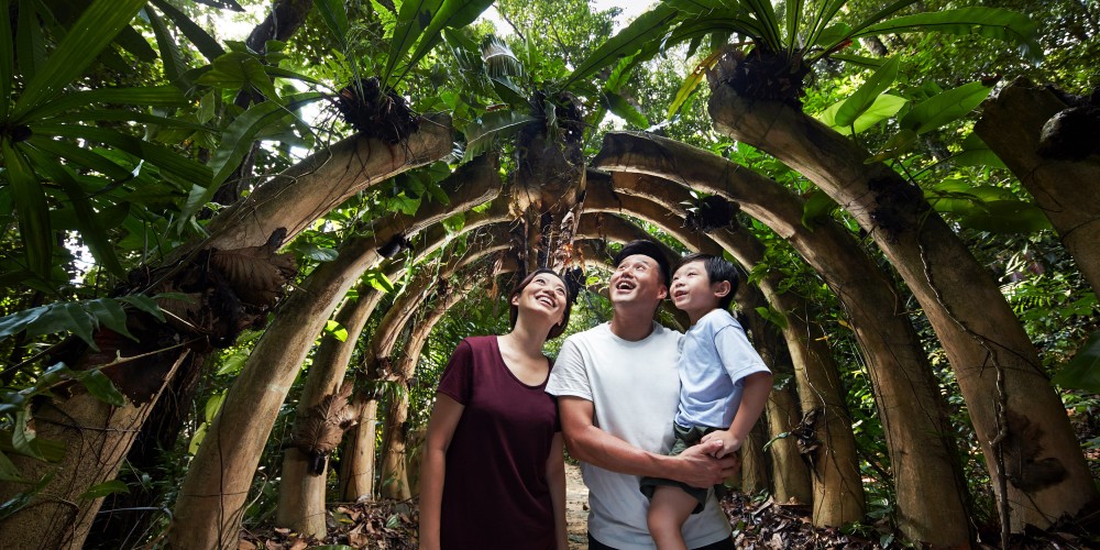 imbiah-trail-family-banana-trees-sentosa