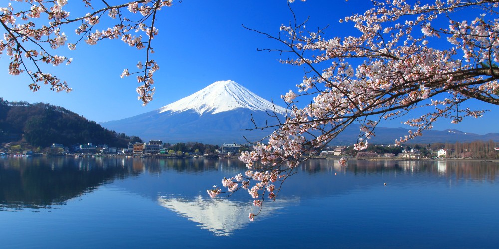 mount-fuji-seen-through-cherry-blossoms