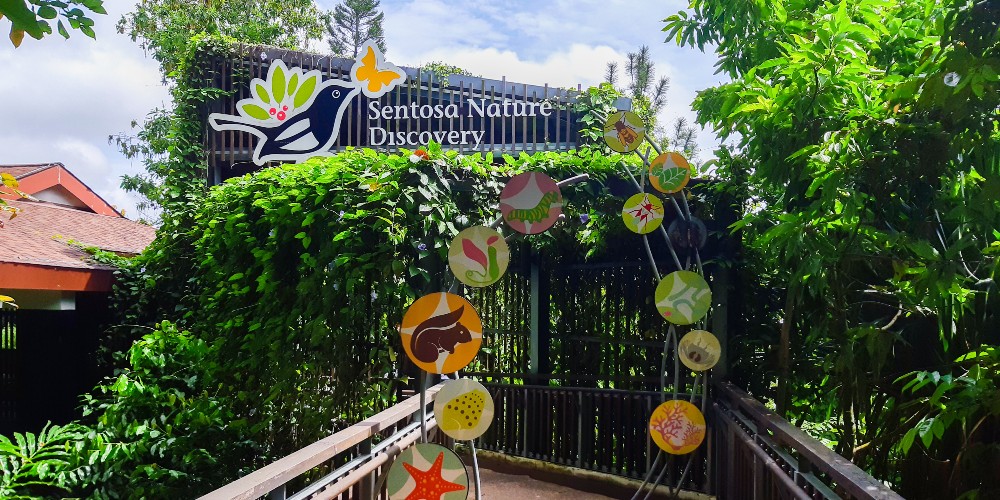 sentosa-nature-discovery-sustainable-travel