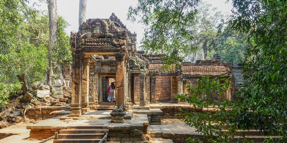 educational-trips-to-ta-prohm-temple-angkor-wat-siem-reap-peter-borter