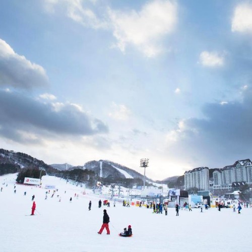 mona-yong-pyong-resort-south-korea-sledging-kids