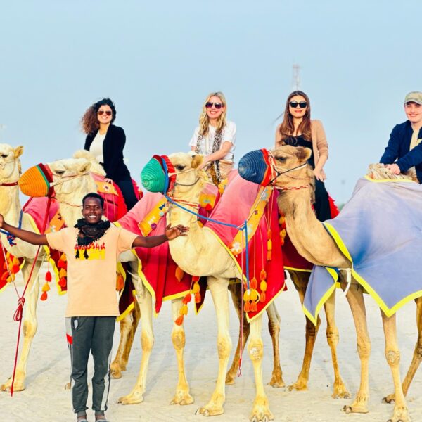 Qatari-desert-camels